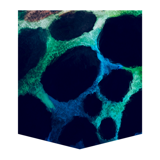 Poison Dart Frog Men's Pocket Tee