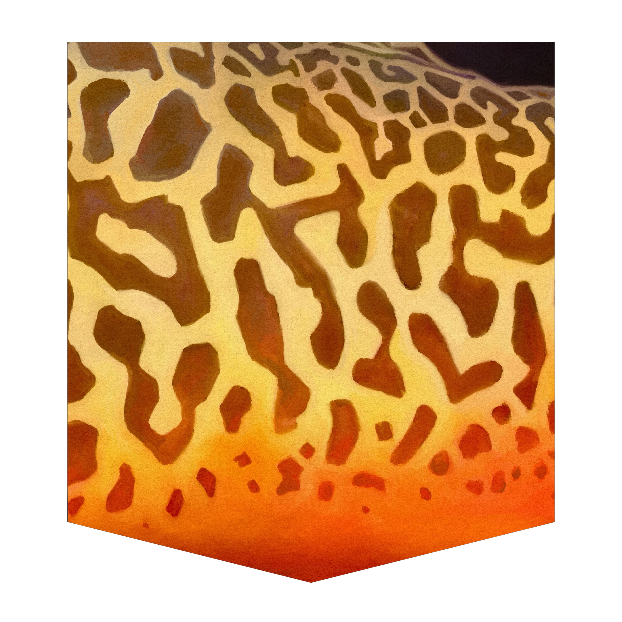 Tiger Trout