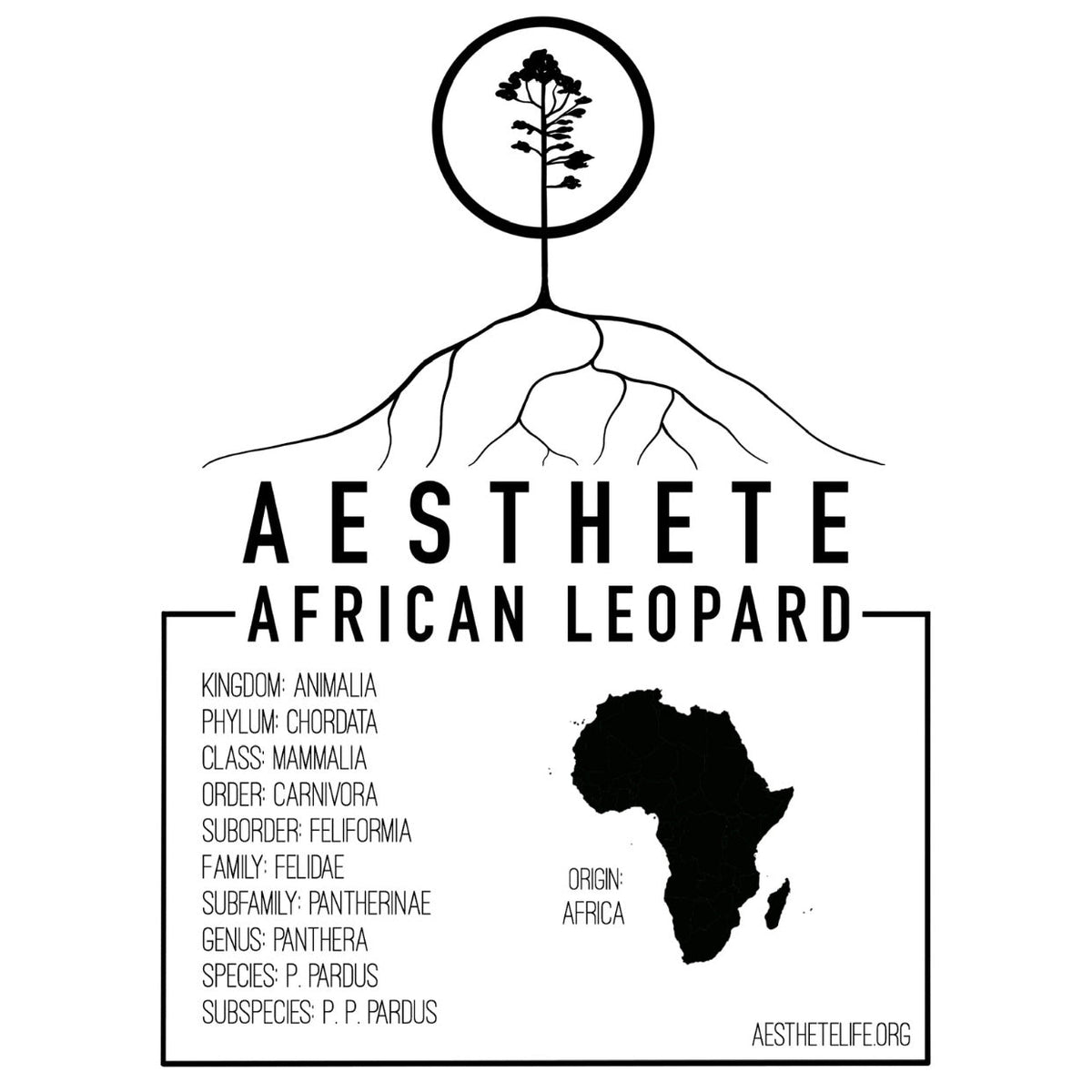 African Leopard field tag — Aesthete taxonomy card
