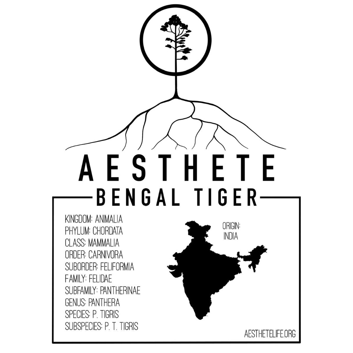 Bengal Tiger field tag — Aesthete taxonomy card