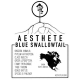 Pipevine Swallowtail field tag — Aesthete taxonomy card