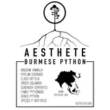 Burmese Python field tag — Aesthete taxonomy card