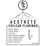 Chilean Flamingo field tag — Aesthete taxonomy card