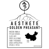 Golden Pheasant field tag — Aesthete taxonomy card