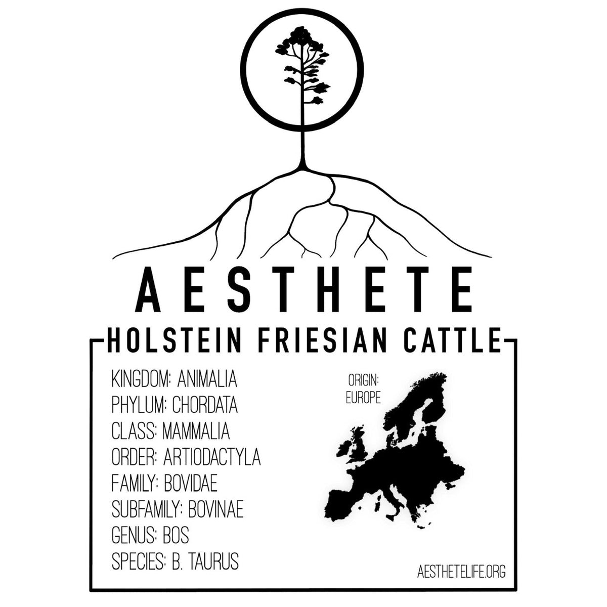 Holstein Friesian field tag — Aesthete taxonomy card