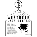 Lady Beetle field tag — Aesthete taxonomy card