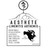Red-Spotted Purple field tag — Aesthete taxonomy card