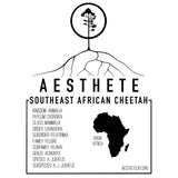 Southeast African Cheetah field tag — Aesthete taxonomy card
