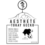 Tokay Gecko field tag — Aesthete taxonomy card