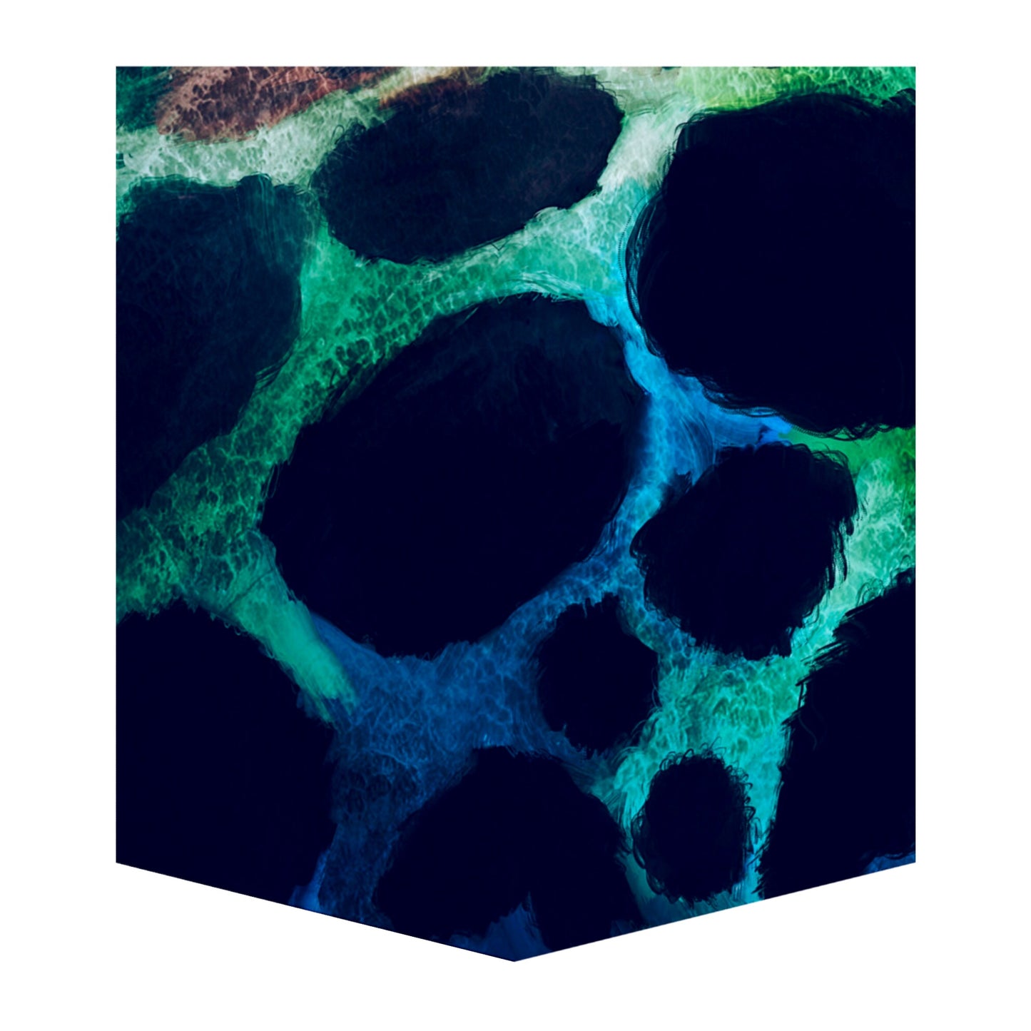 Poison Dart Frog Kid's Pocket Tee