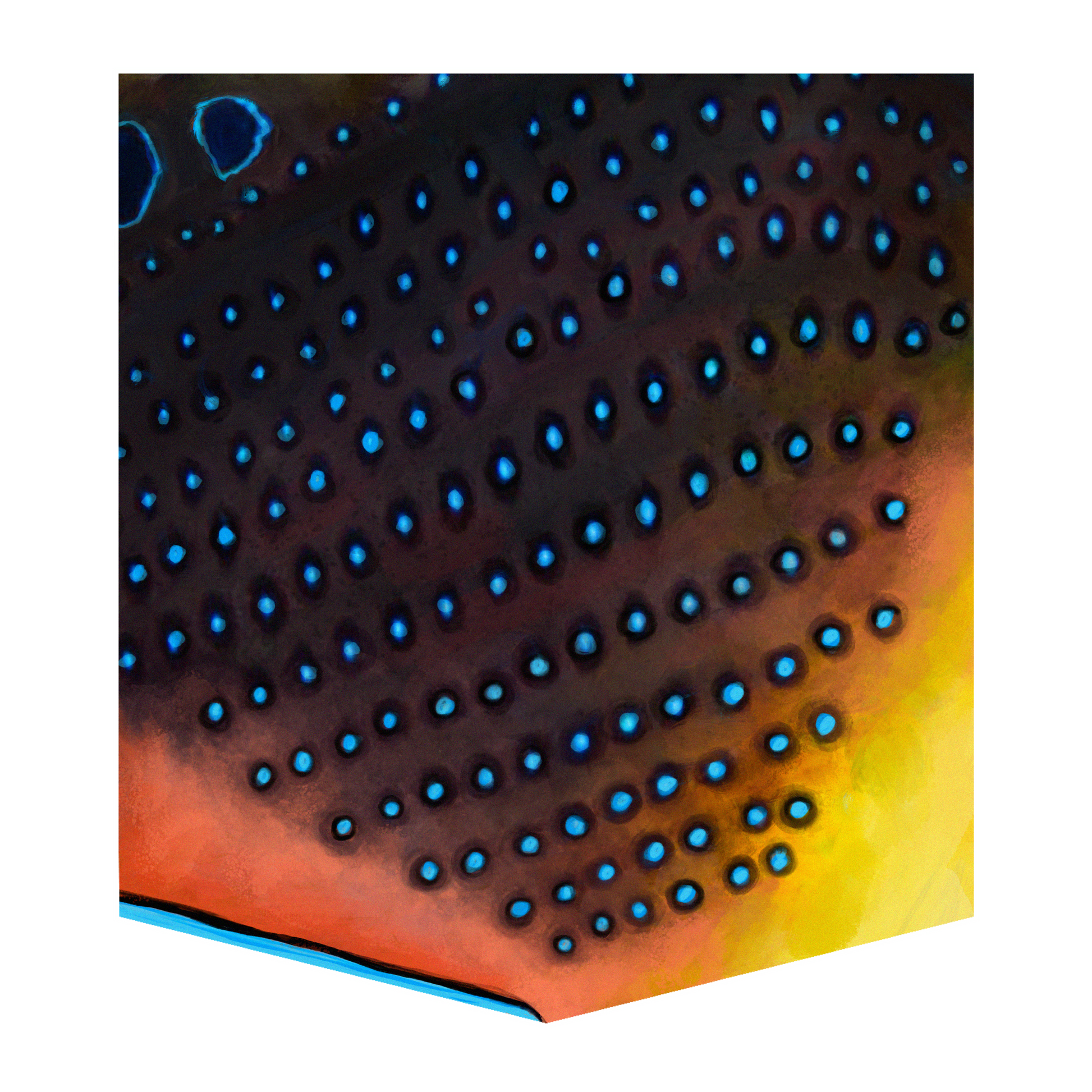 Wrasse Men's Pocket Tee