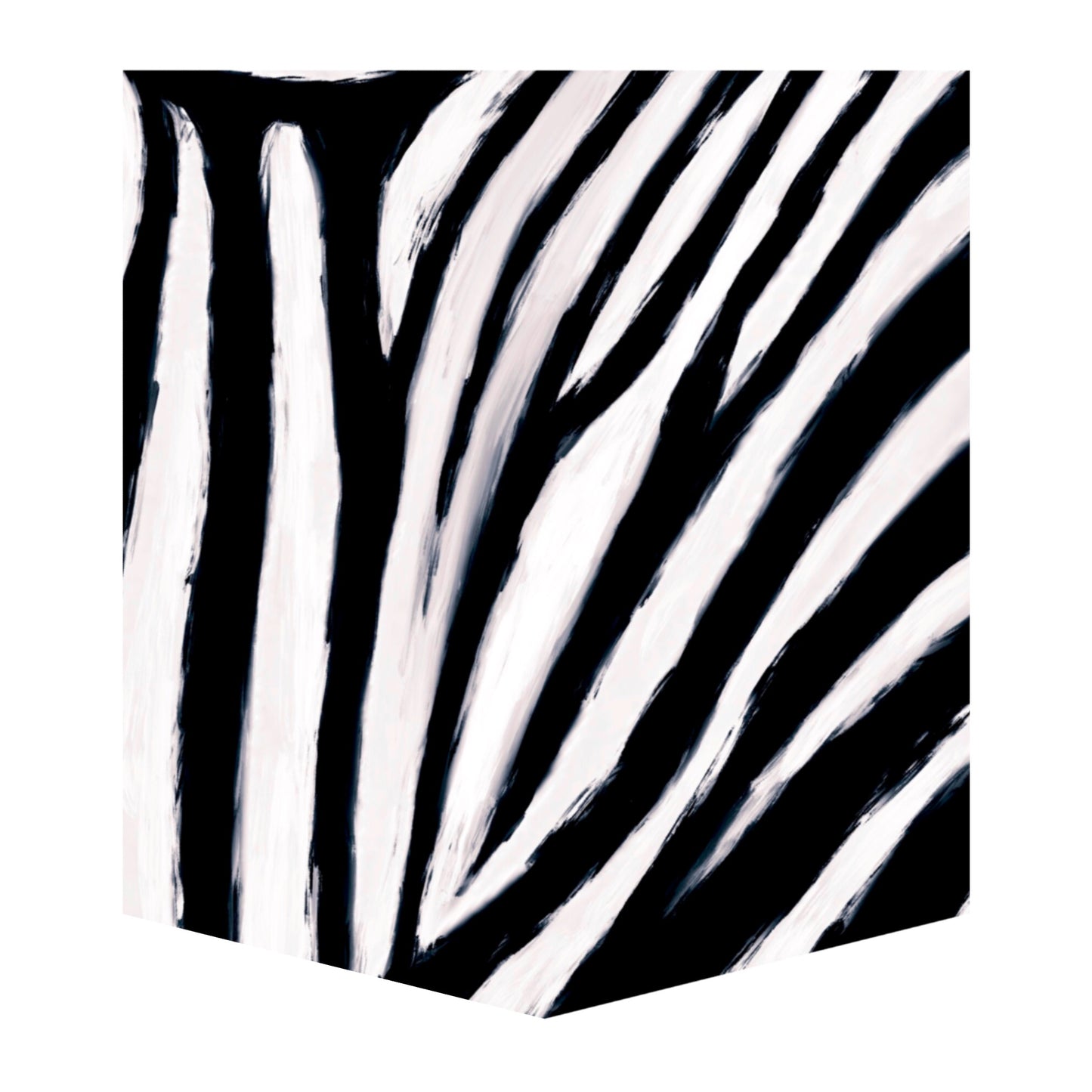 Burchells Zebra Kid's Pocket Tee