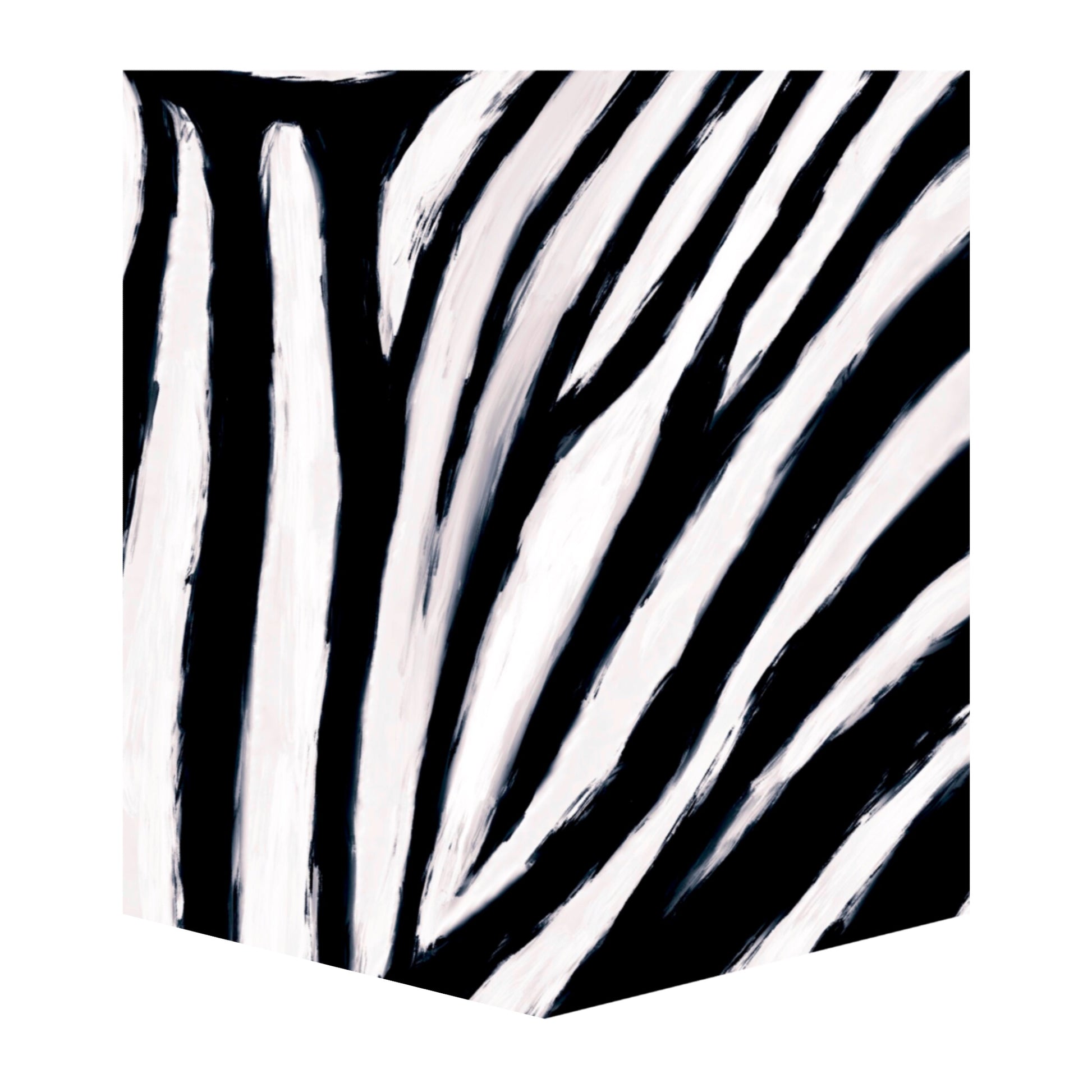 Burchells Zebra Kid's Pocket Tee