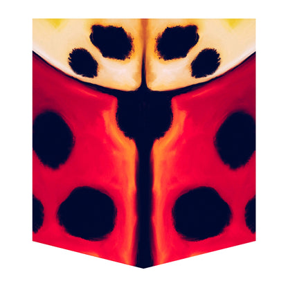 Lady Beetle Kid's Pocket Tee