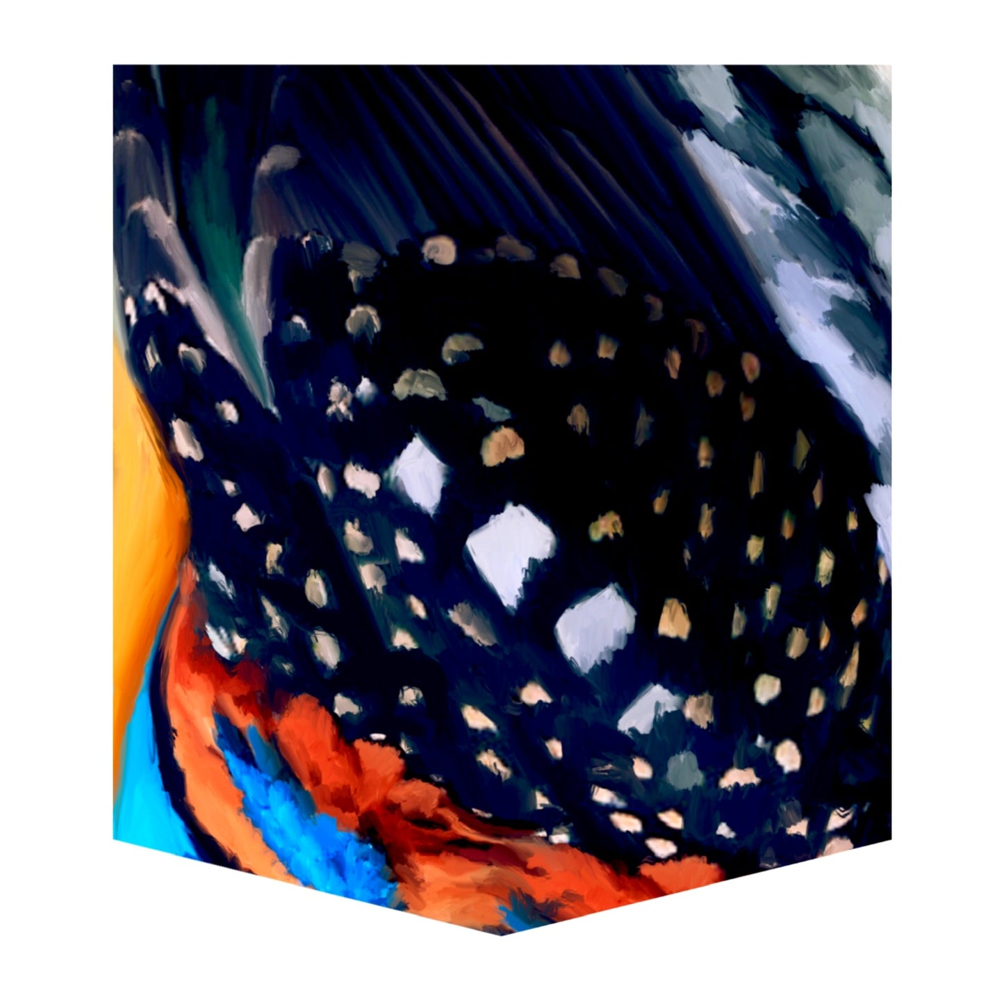 Spotted Kingfisher Kid's Pocket Tee