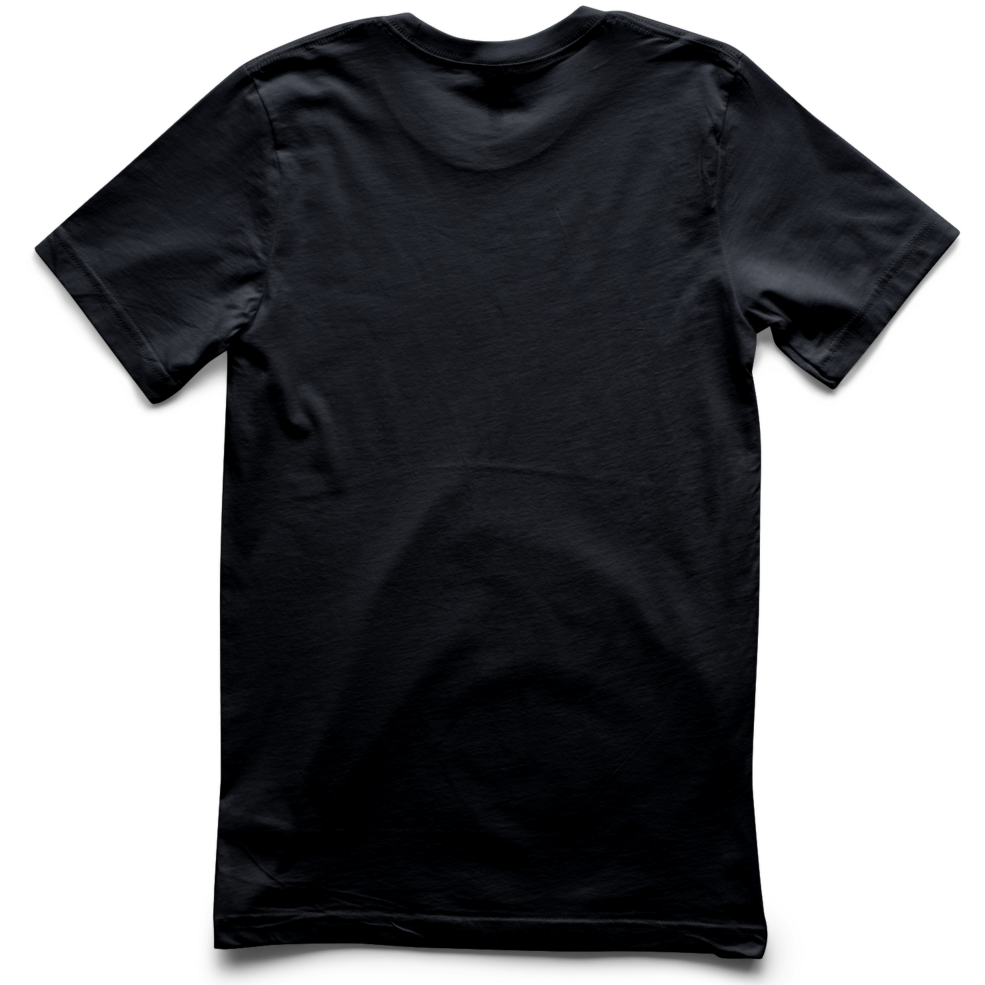 Lady Beetle Men's Pocket Tee