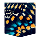 Blue Swallowtail Butterfly Women's Pocket Tee