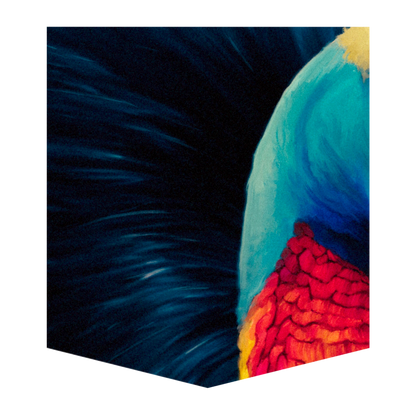 Cassowary Men's Pocket Tee