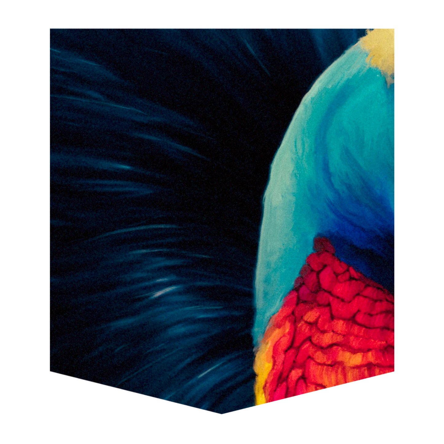 Cassowary Women's Pocket Tee