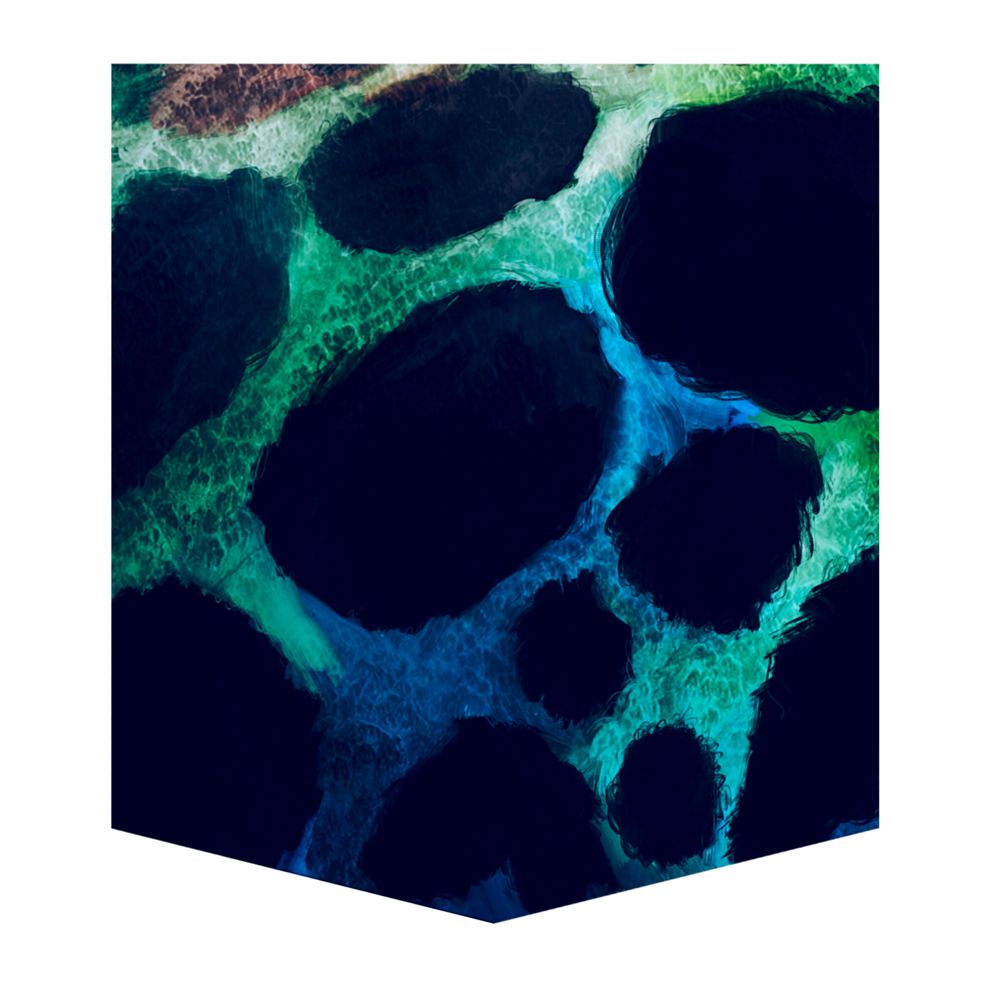 Poison Dart Frog Women's Pocket Tee