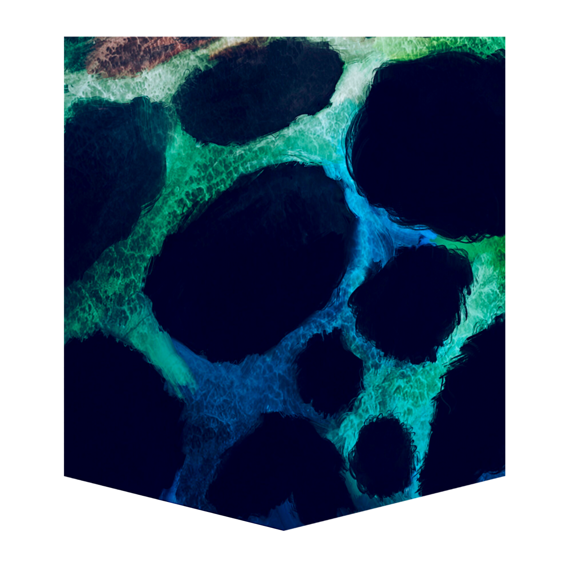 Poison Dart Frog Men's Pocket Tee