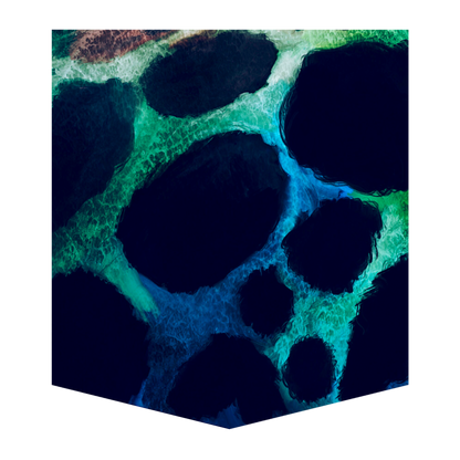 Poison Dart Frog Men's Pocket Tee