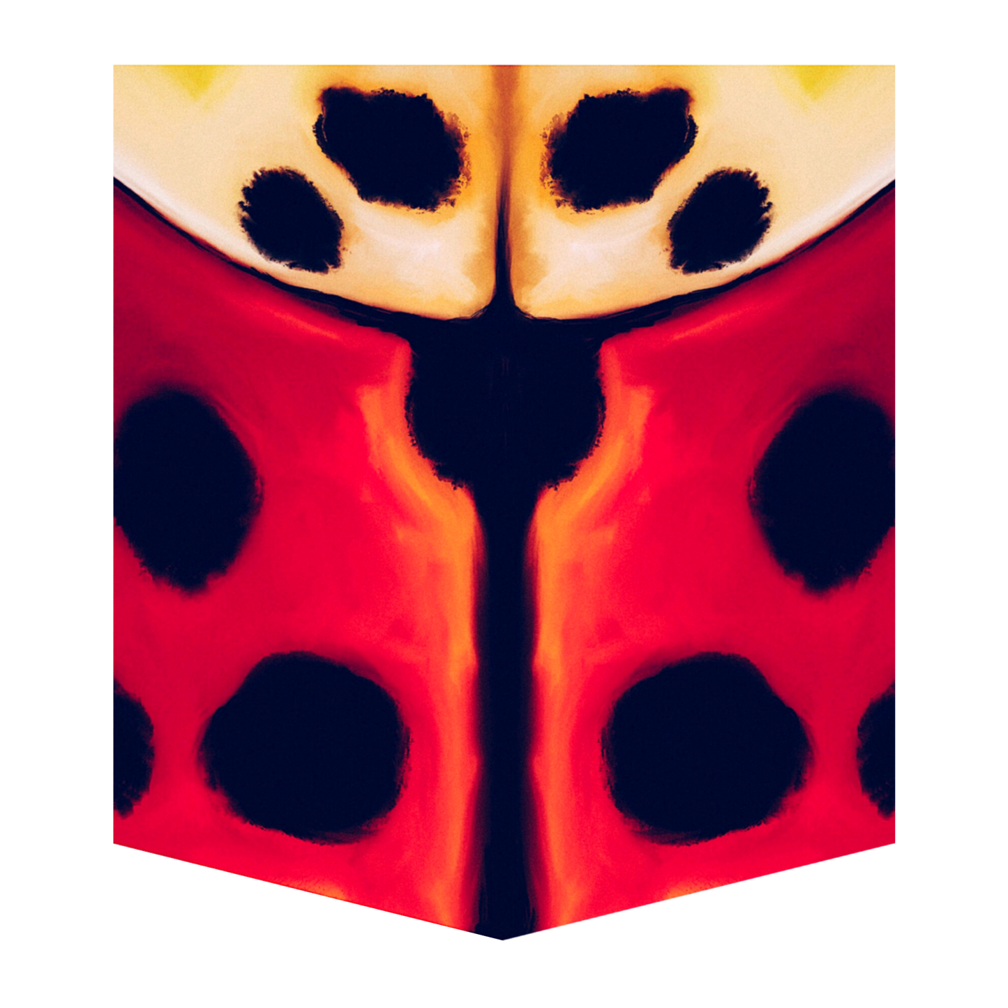 Lady Beetle Men's Pocket Tee