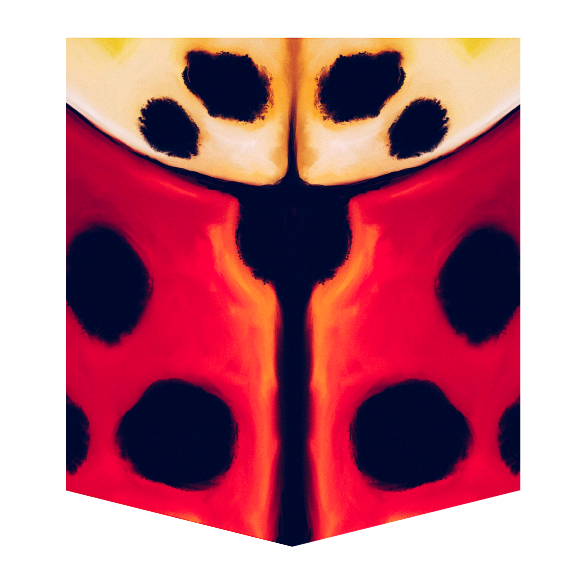 Lady Beetle Men's Pocket Tee