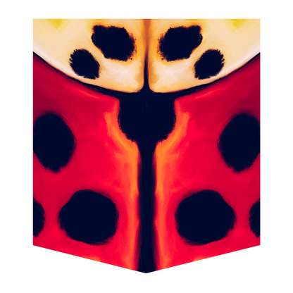 Lady Beetle Men's Pocket Tee