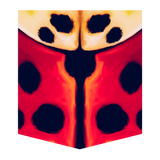 Lady Beetle Women's Pocket Tee