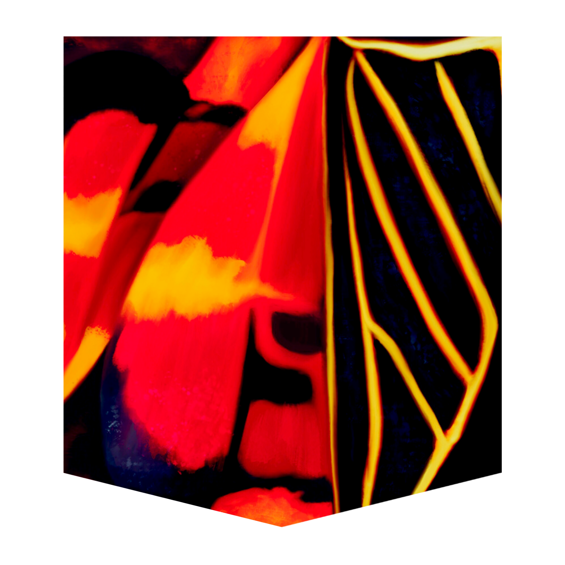 Anisocelis Flavolineata Men's Pocket Tee