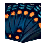 Limenitis Arthemis Butterfly Women's Pocket Tee