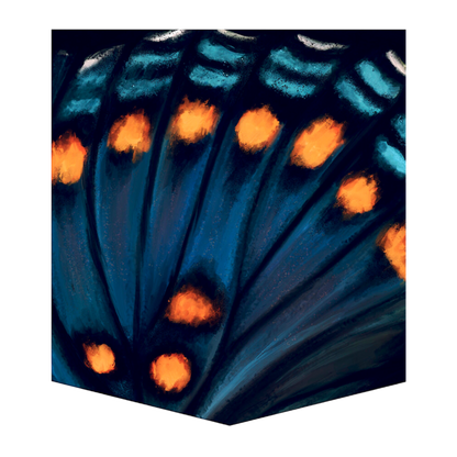 Limenitis Arthemis Butterfly Men's Pocket Tee