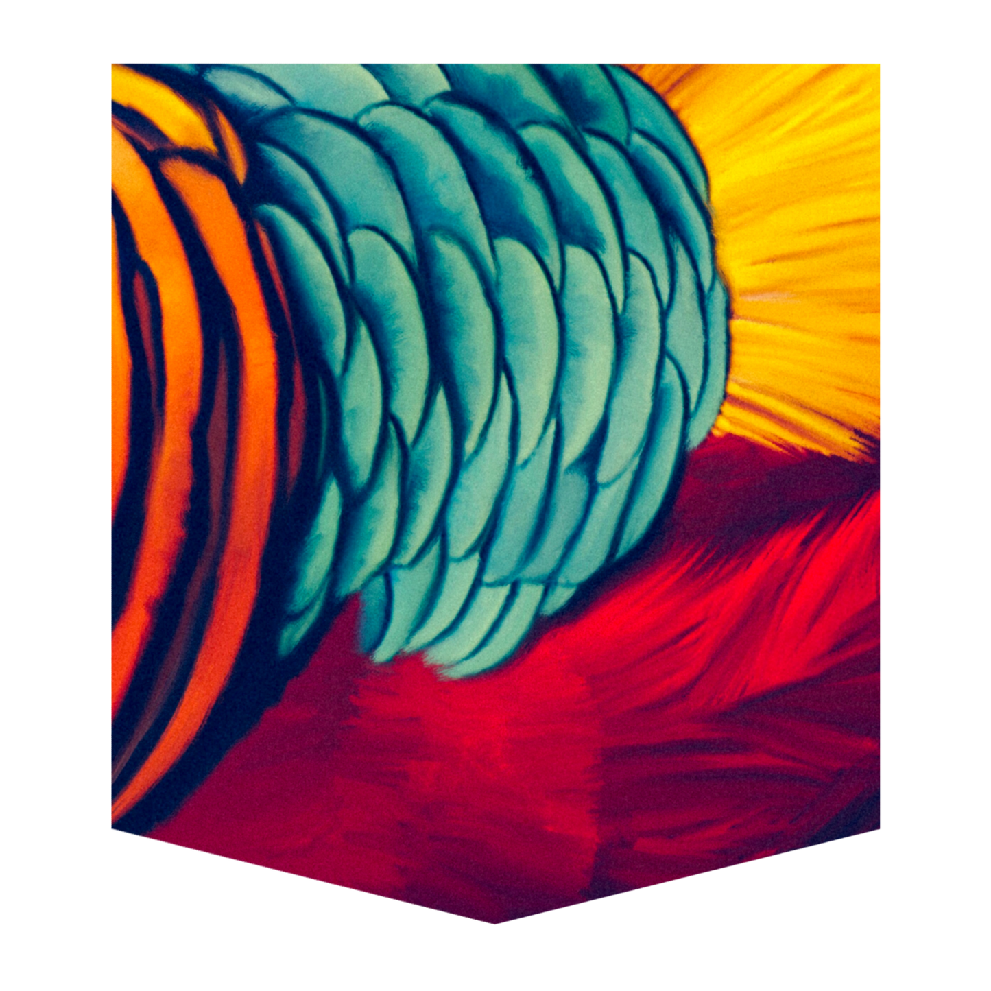 Golden Pheasant Women's Pocket Tee