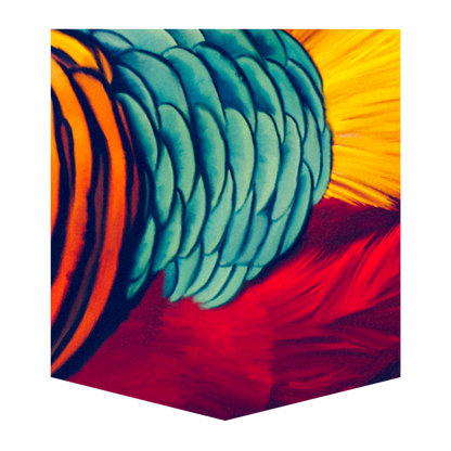 Golden Pheasant Women's Pocket Tee