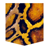Burmese Python Women's Pocket Tee