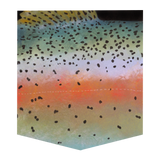 Rainbow Trout Women's Pocket Tee