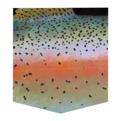 Rainbow Trout Women's Pocket Tee