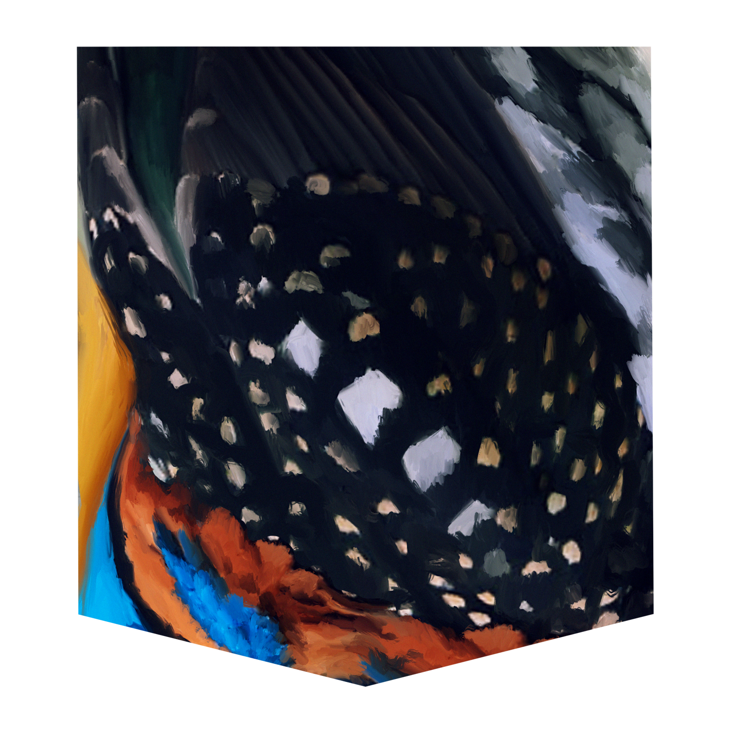 Spotted Kingfisher Women's Pocket Tee