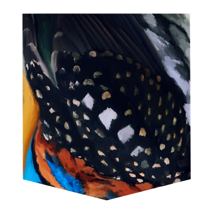 Spotted Kingfisher Women's Pocket Tee