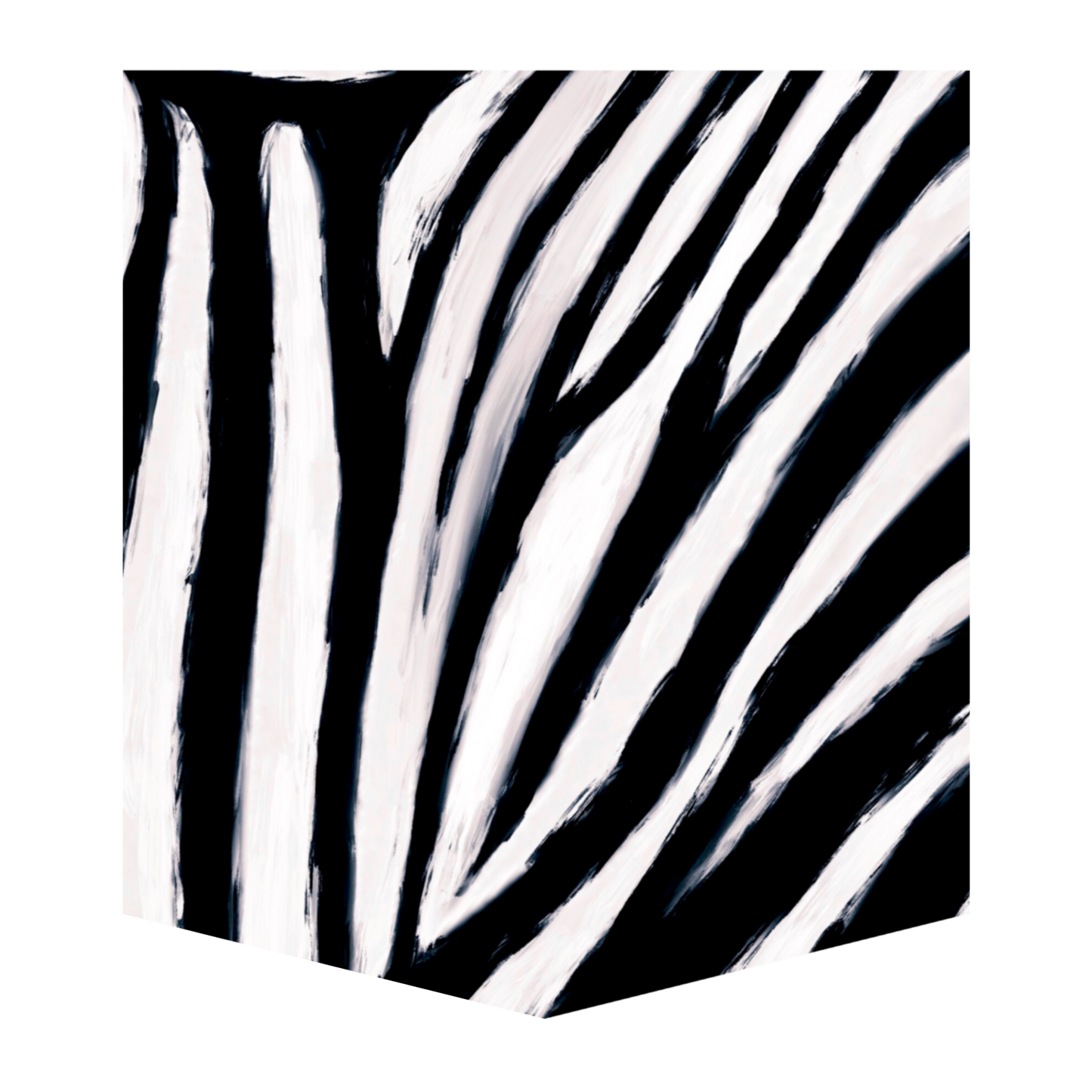 Burchells Zebra Men's Pocket Tee