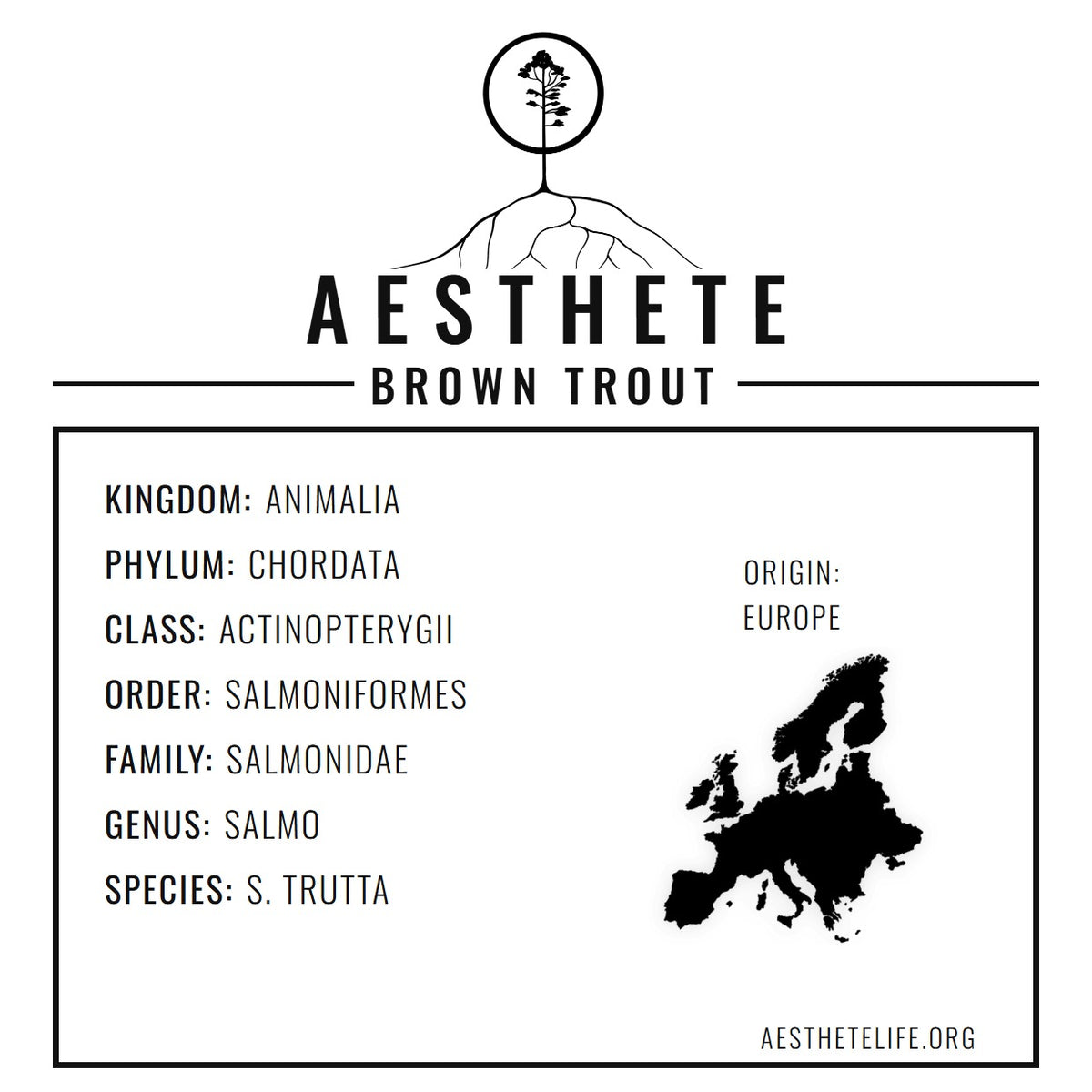 BrownTrout field tag — taxonomy card