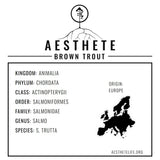 BrownTrout field tag — taxonomy card