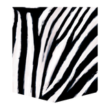 Burchell's Zebra, hand-painted original