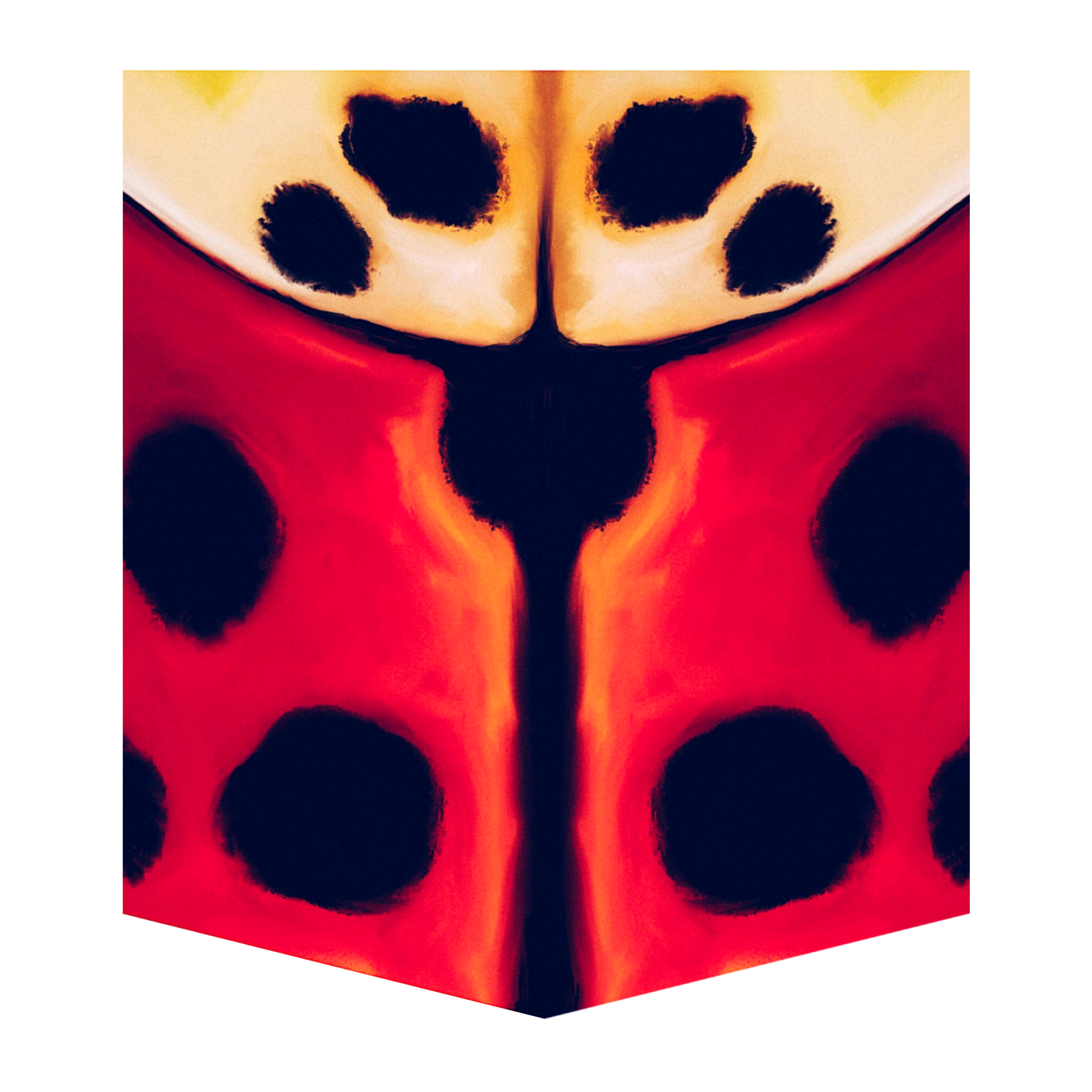 Lady Beetle