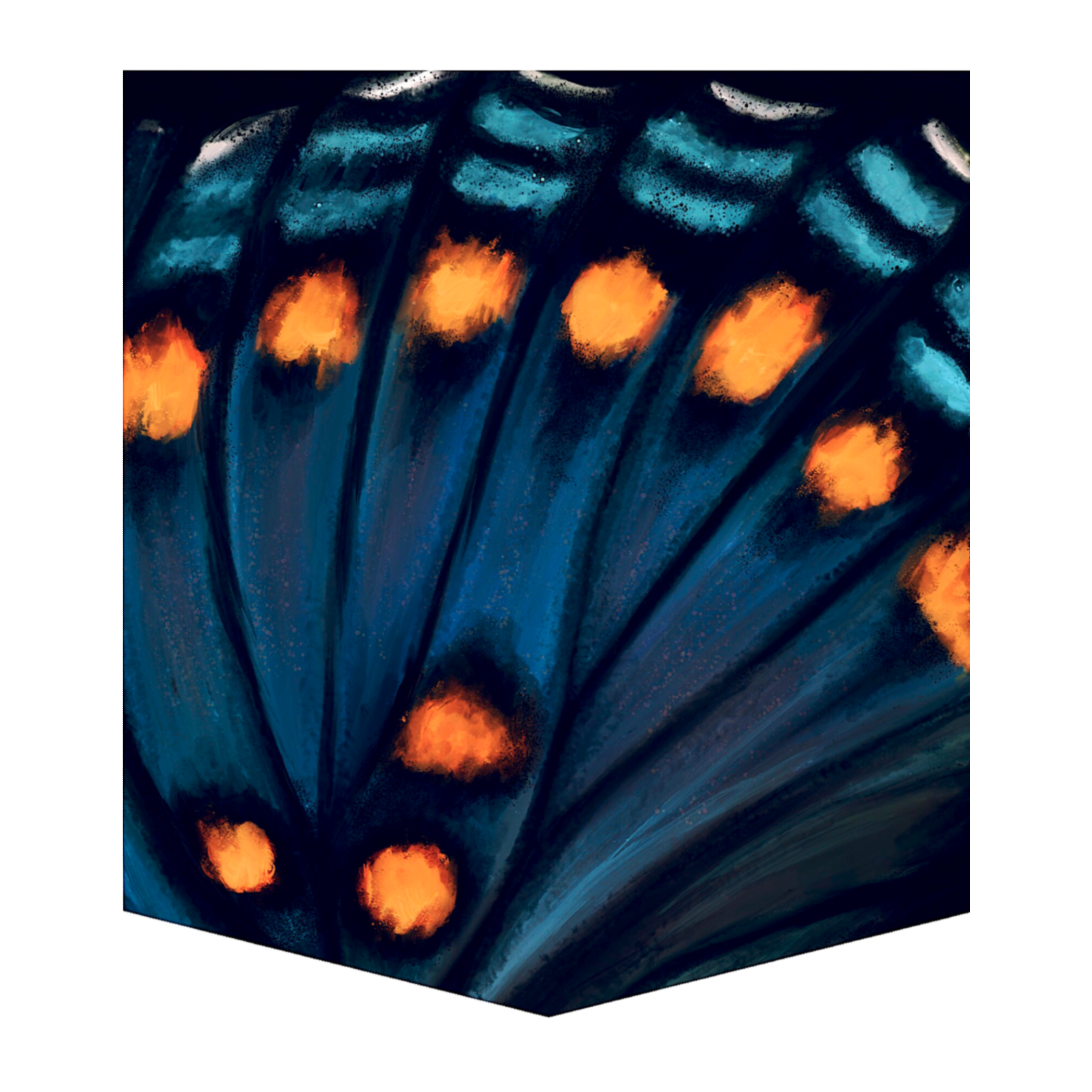Limenitis Arthemis Butterfly