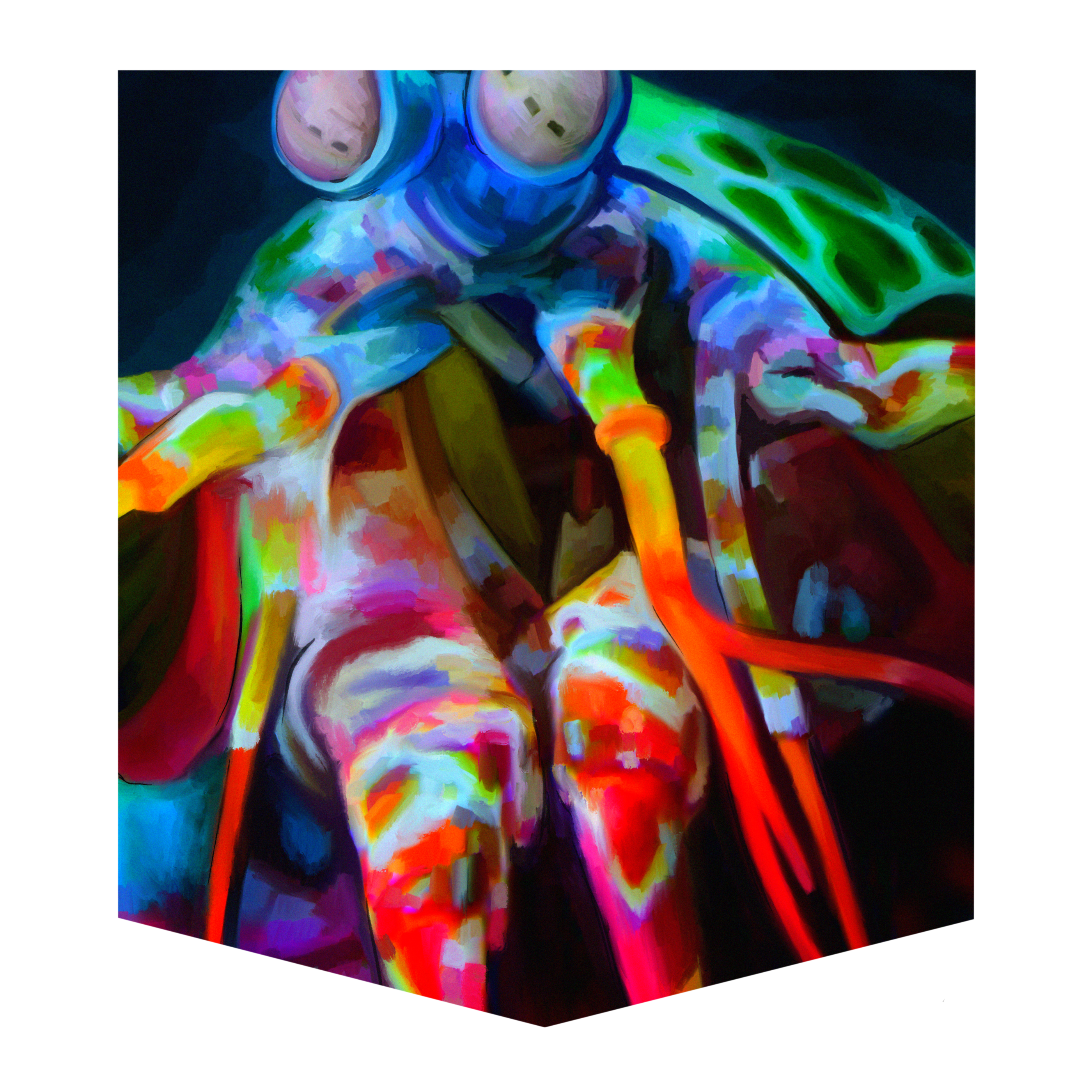 Mantis Shrimp