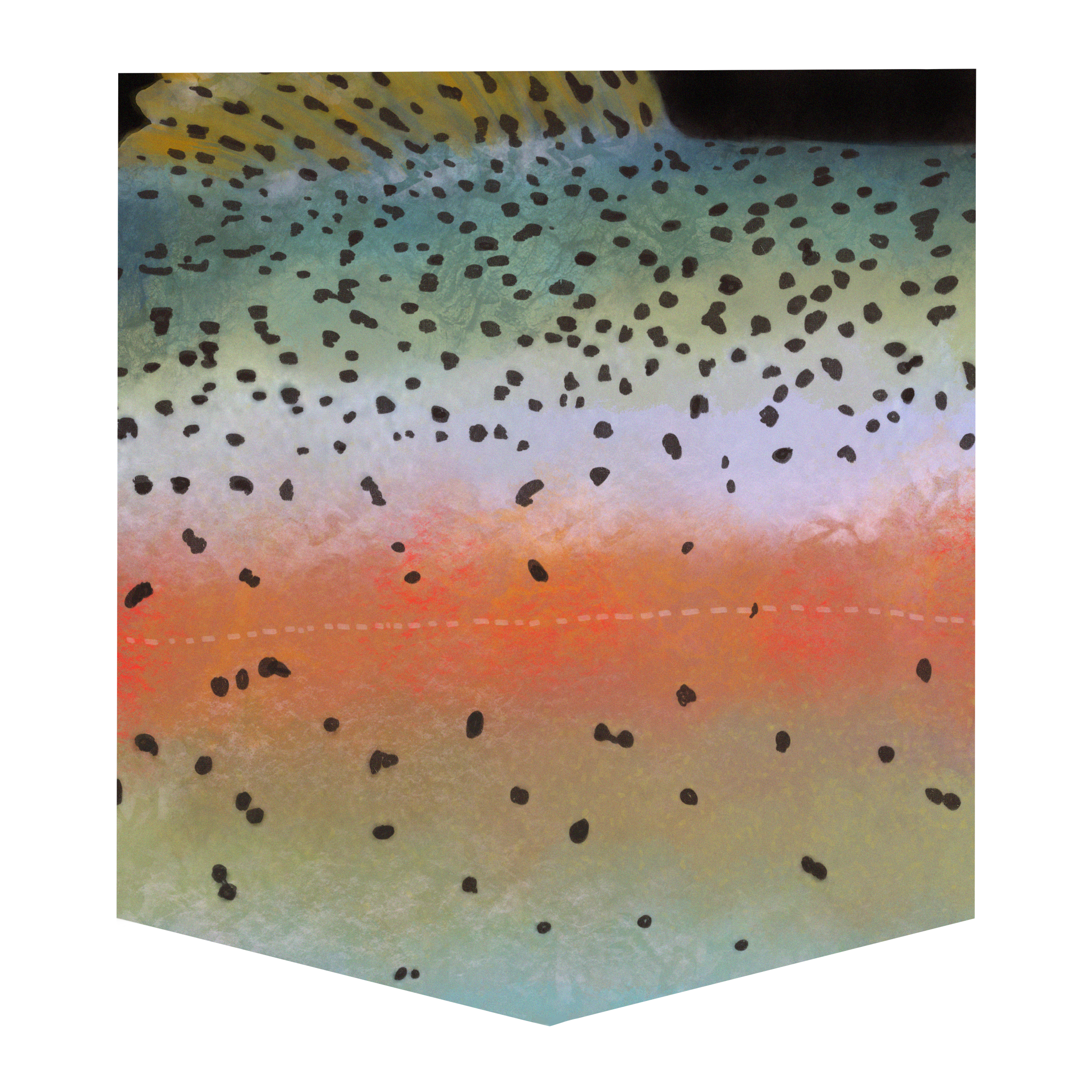 Rainbow Trout Women's Pocket Tee, hand-painted original