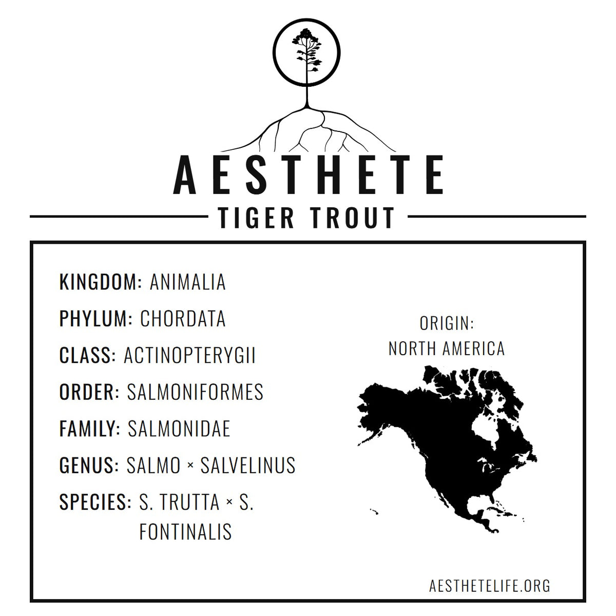 TigerTrout field tag — taxonomy card