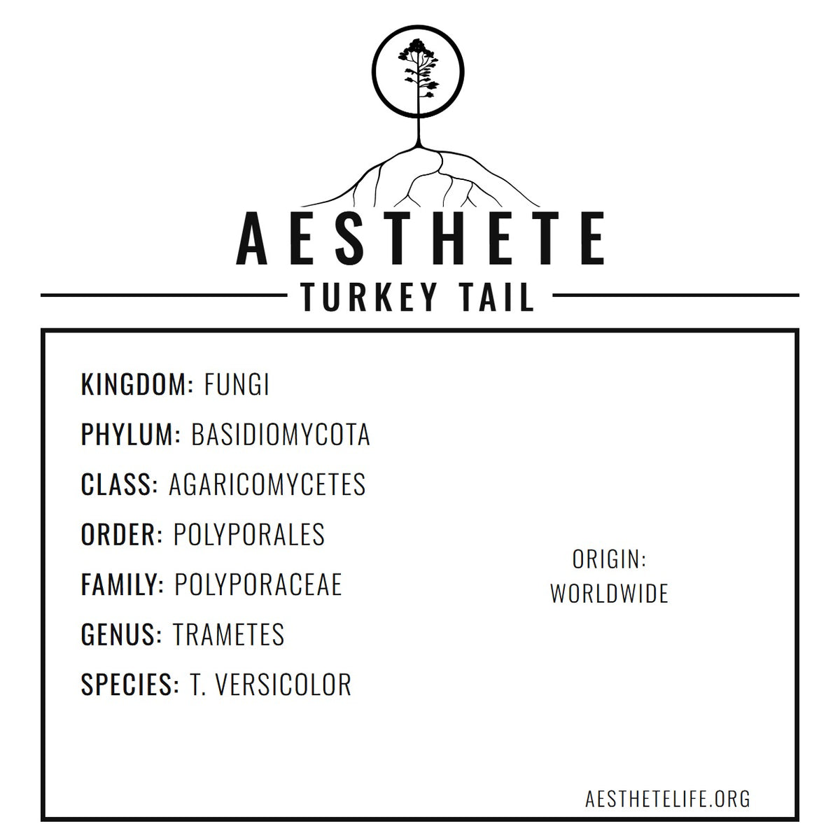 TurkeyTail field tag — taxonomy card